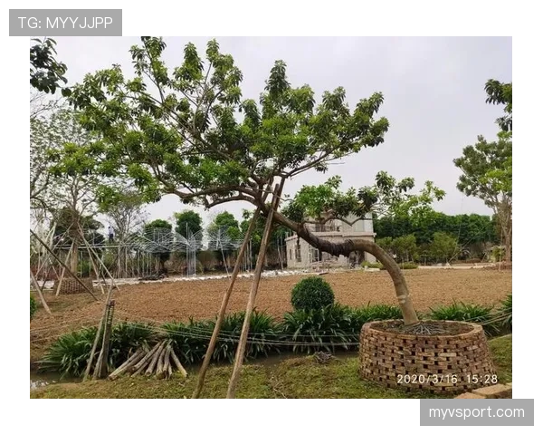 费钰婷今天又穿了套谁都追不上的造型，这生活太飘了吧？